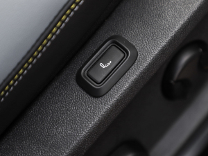 2021Prime (q) п؅^(q)