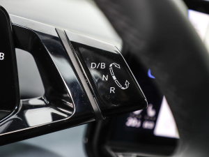 2021Prime (q) п؅^(q)