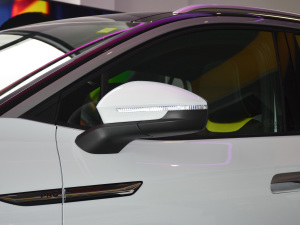 2021Pro OLm(x) (x)(ji)^