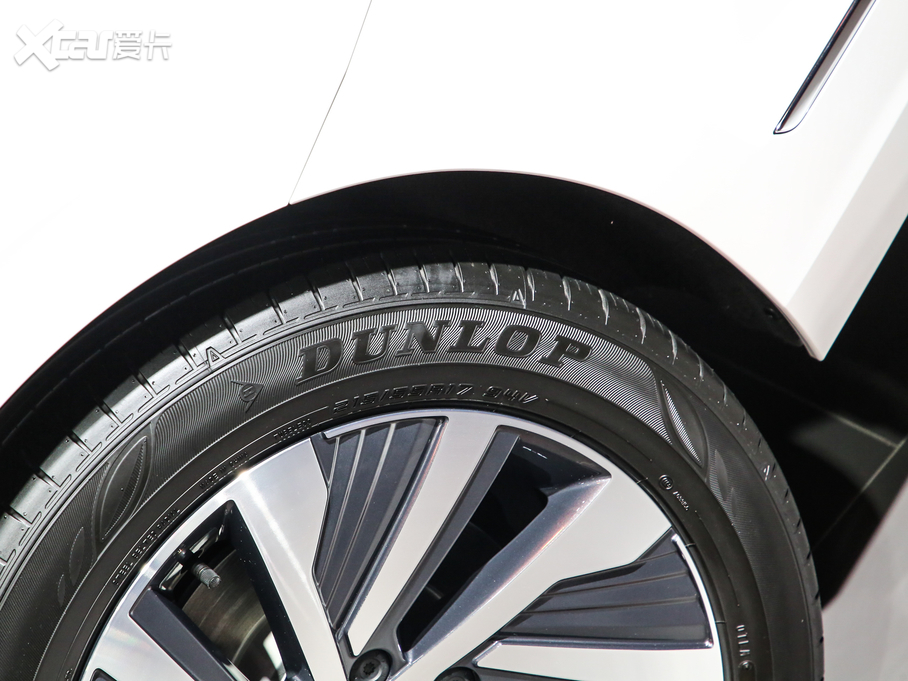 2020�����_������Դ 430PHEV ���(d��ng)��Ӣ�� ��VI