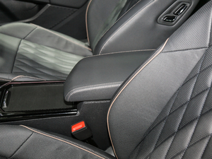 2020430PHEV (dng)A (gu)VI g