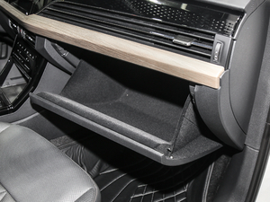 2020430PHEV (dng)A (gu)VI g