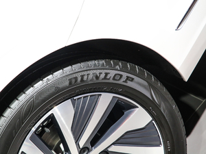 2020430PHEV ӾӢ VI ^