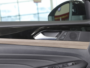 2020Ŀ 330TSI F VI g