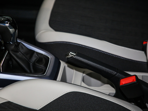 2020280TSI DSGm v܇Ƅ