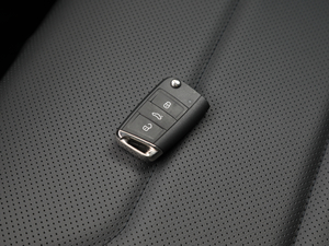 2020430 PHEV Ş ܇耳