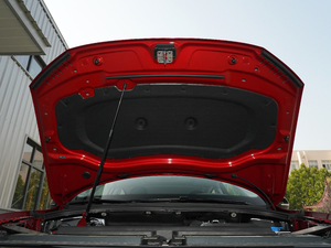 2021款380TSI 四驱尊崇旗舰版 其它
