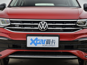 2021款330TSI 两驱尊崇旗舰版 中网