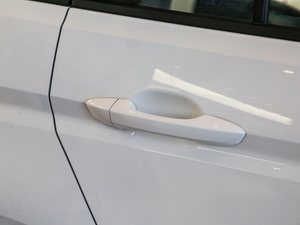 2021280TSI DSGm 7 (ji)^