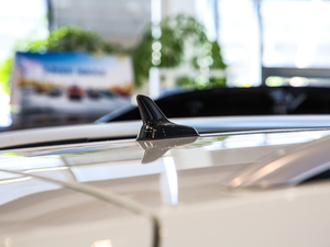 2021280TSI DSGm 7 (ji)^