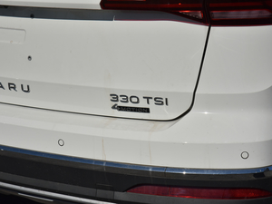 2021330TSI (q)Ş (x)(ji)^