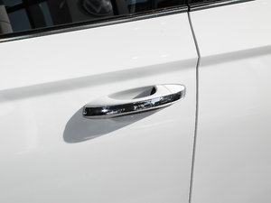 2021款280TSI 豪华版PLUS 主驾门拉手
