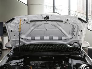 2021款280TSI 豪华版PLUS 其它