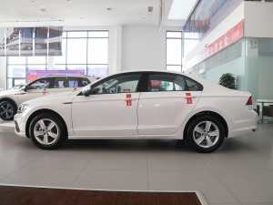 2021230TSI DSGLа ȣ