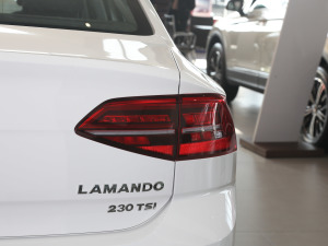 2021款230TSI DSG风尚版 尾灯