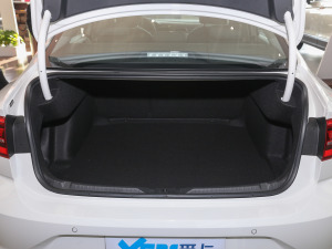 2021230TSI DSGL(fng)а g