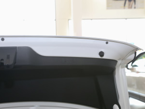 2021230TSI DSGL(fng)а g