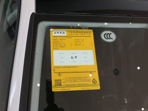 2021230TSI DSGLа ŲͺĘʾ