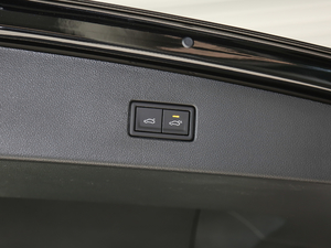 2021330TSI Ş  R-Line g