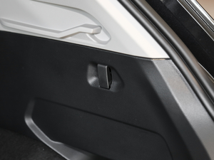 2021330TSI Ş  R-Line g