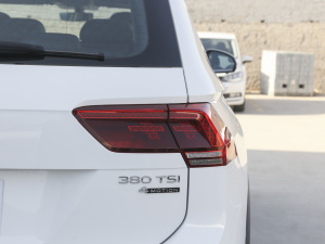 2021款380TSI 四驱越享版 R-Line 7座 尾灯