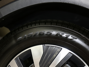 2021430 PHEV Ş ݆̥ߴ