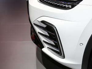 2021430 PHEV Ş (ji)^