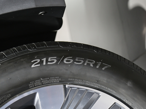 2021430 PHEV Ş ݆̥ߴ