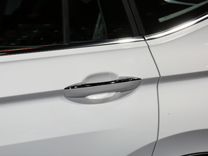 2021430 PHEV Ş (ji)^