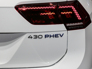 2021430 PHEV Ş ^