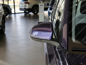 2021280TSI DSGm (ji)^