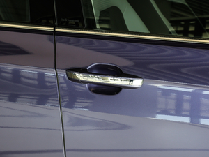 2021280TSI DSGm (ji)^