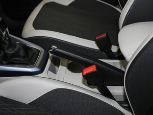 2021280TSI DSGm v܇Ƅ