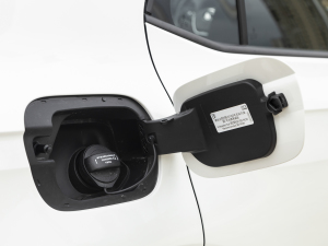 20211.5L Ԅ(dng)L(fng)а w