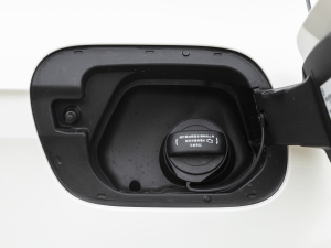 20211.5L Ԅ(dng)L(fng)а (x)(ji)^