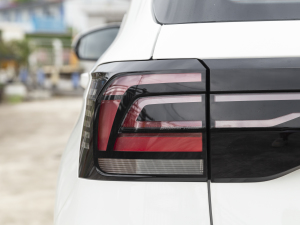 20211.5L Ԅ(dng)L(fng)а (x)(ji)^