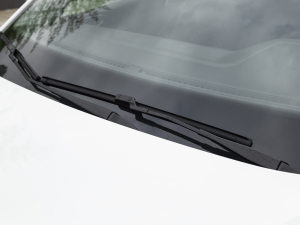 20211.5L Ԅ(dng)L(fng)а ˢ