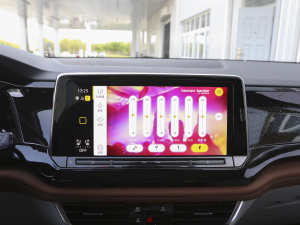 2021380TSI Ş п؅^(q)