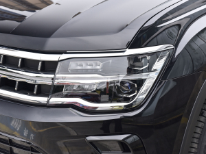 2021款530 V6 尊崇豪华版 大灯