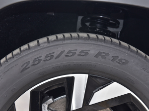 2021款530 V6 尊崇豪华版 轮胎尺寸
