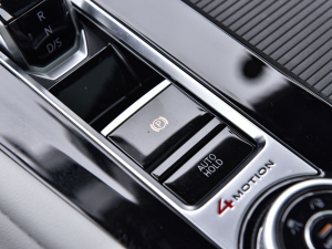 2021款530 V6 尊崇豪华版 驻车制动器