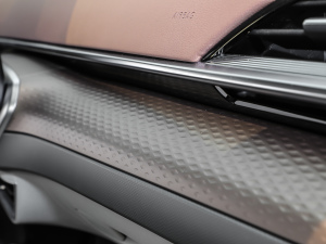 20211st Edition ID.Ҋ п؅^(q)