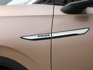 2021Prime (q) (x)(ji)^