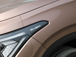 2021Prime (q) (x)(ji)^