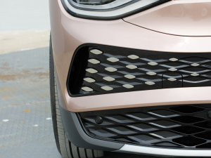 2021Prime (q) (x)(ji)^