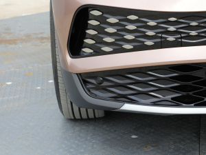 2021Prime (q) (x)(ji)^