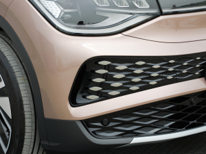 2021Prime (q) (x)(ji)^