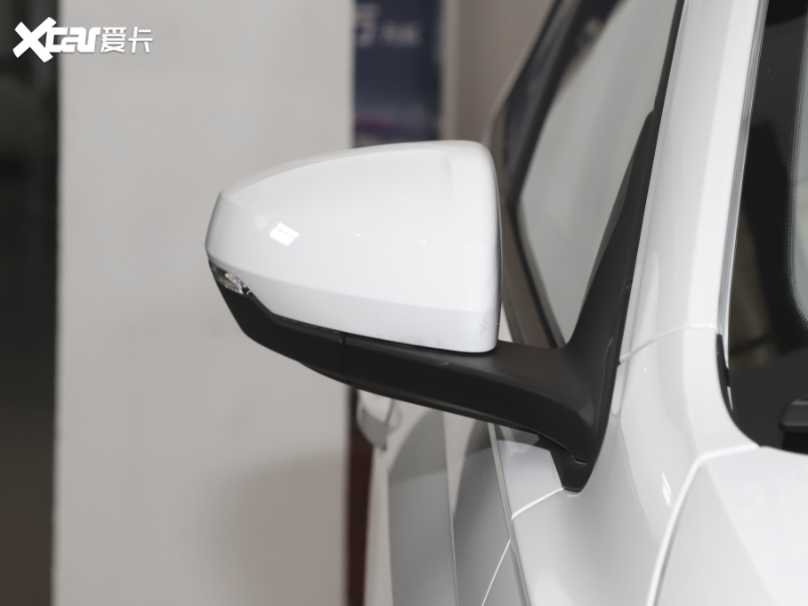 2021Polo Plus 1.5L Ԅȫ