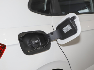 2021Plus 1.5L Ԅȫ w