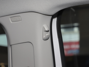 2021Plus 1.5L Ԅȫ g